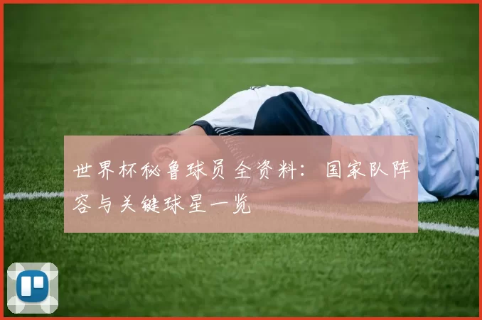 世界杯秘鲁球员全资料:国家队阵容与关键球星一览