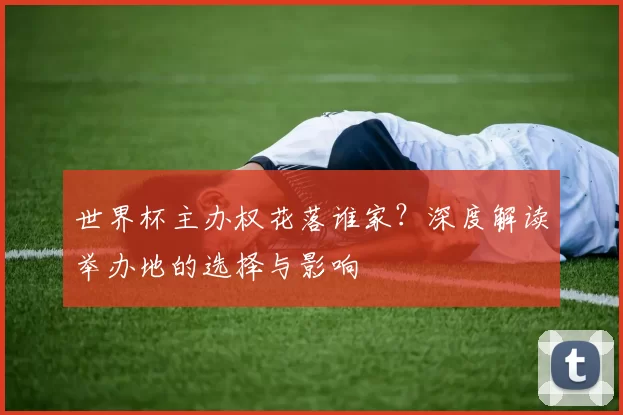 世界杯主办权花落谁家?深度解读举办地的选择与影响