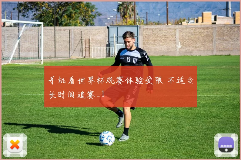 手机看世界杯观赛体验受限 不适合长时间追赛_1
