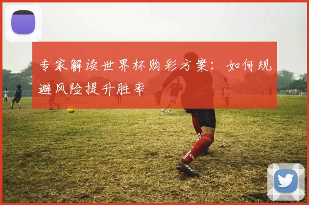 专家解读世界杯购彩方案:如何规避风险提升胜率