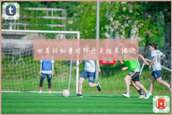 世界杯秘鲁对阵丹麦结果揭晓