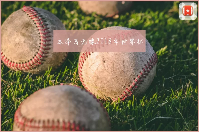 本泽马无缘2018年世界杯