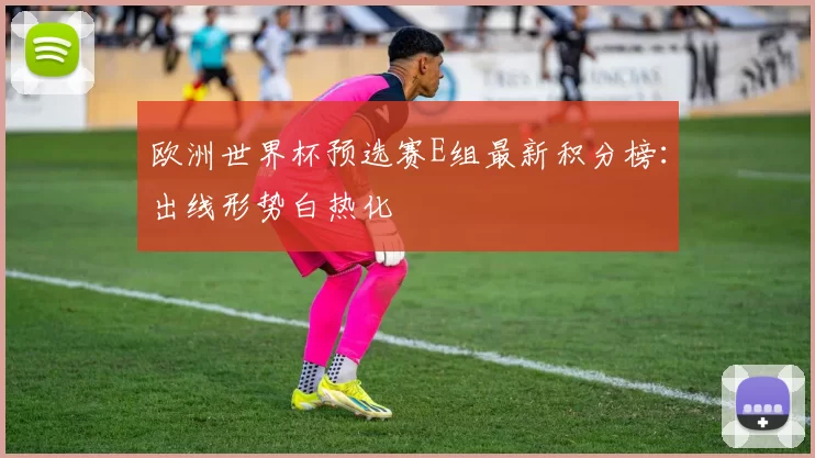 欧洲世界杯预选赛E组最新积分榜：出线形势白热化