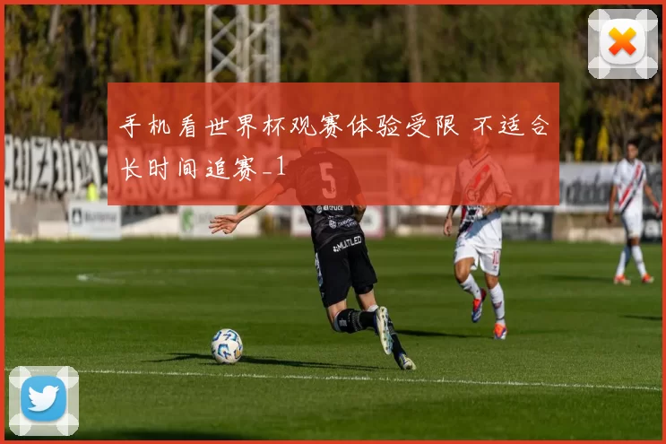 手机看世界杯观赛体验受限 不适合长时间追赛_1