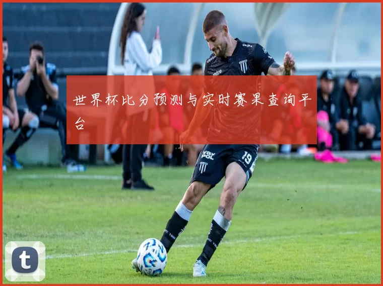 世界杯比分预测与实时赛果查询平台