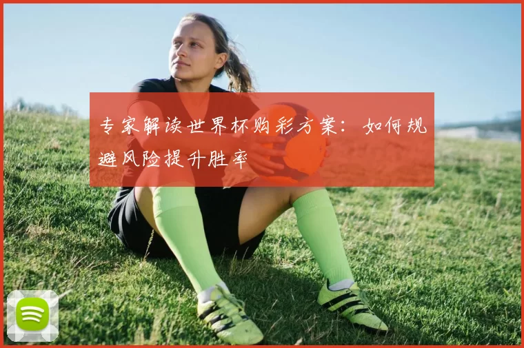 专家解读世界杯购彩方案：如何规避风险提升胜率