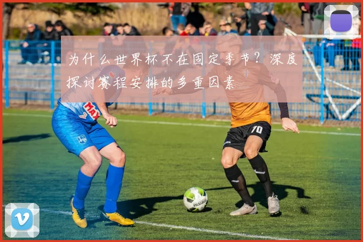 为什么世界杯不在固定季节?深度探讨赛程安排的多重因素