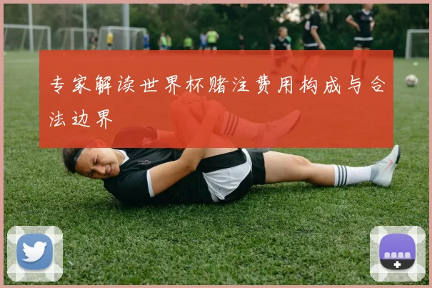 专家解读世界杯赌注费用构成与合法边界